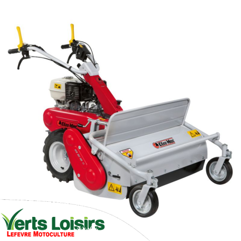 D�broussailleuse � fl�aux